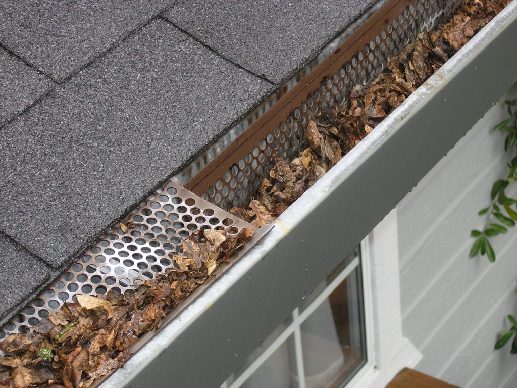 What Happens If You Don’t Clean Your Gutters? | Shane's Gutter Cleaning Solutions